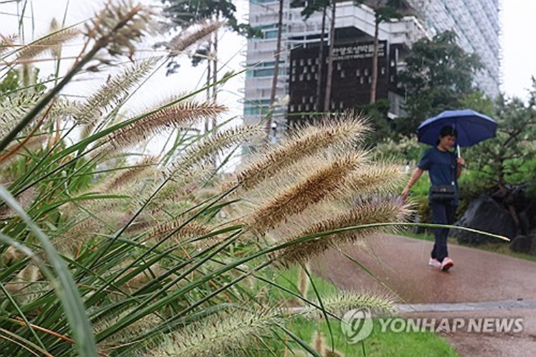 가을비 내리는 서울(사진=연합)