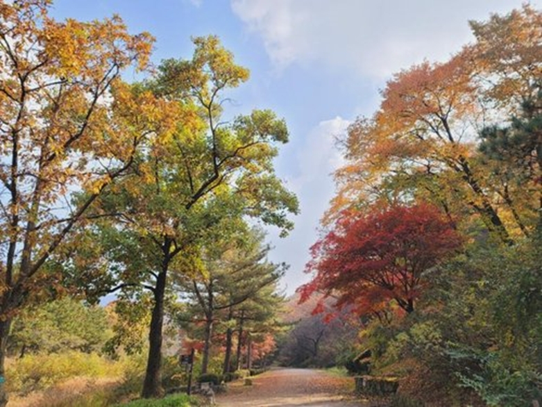 서울대 관악수목원(사진=안양시제공)