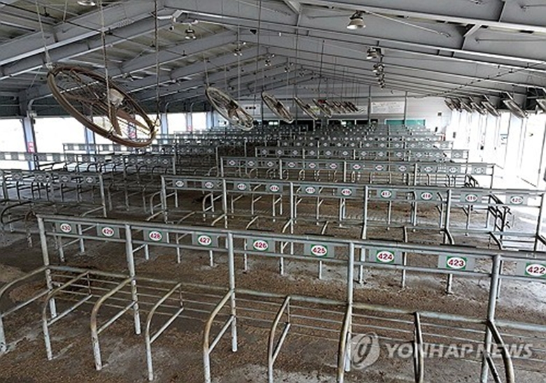 럼피스킨병 확산으로 우시장 폐쇄(사진=연합)