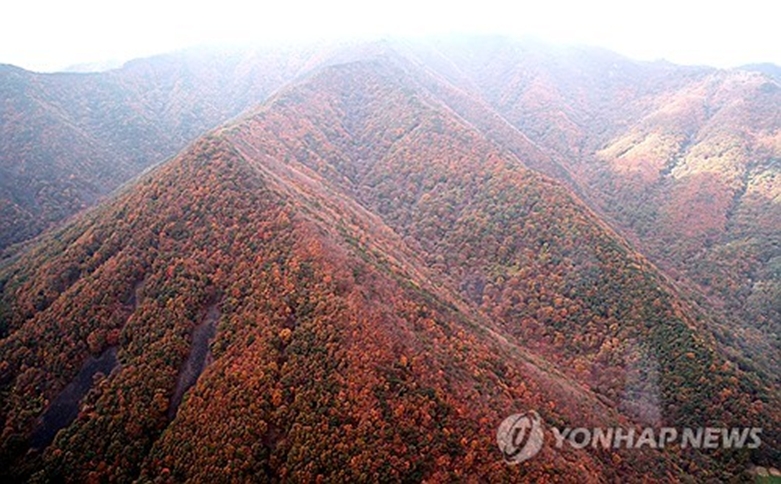 가을옷 갈아입는 중(사진=연합)