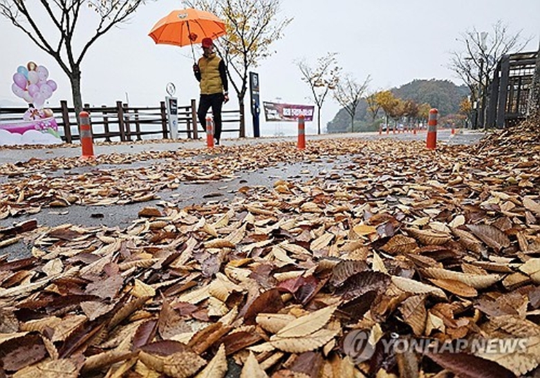 가을비 촉촉(사진=연합)