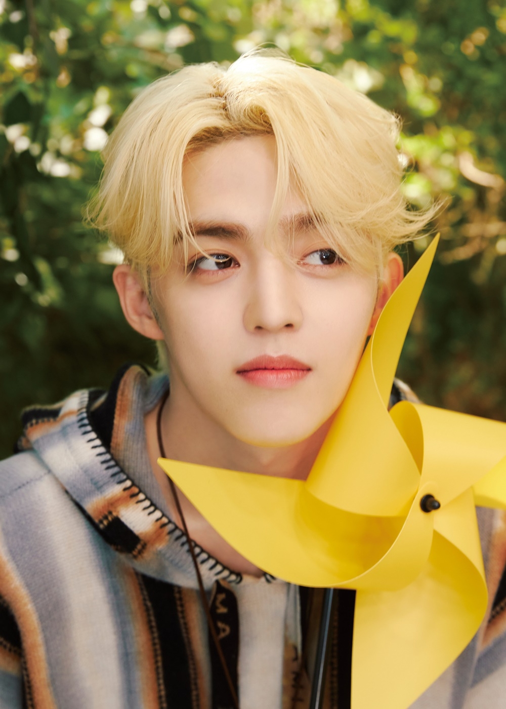 세븐틴 에스쿱스, 유기동물 위해 5천만 원 기부…선한 영향력 전파