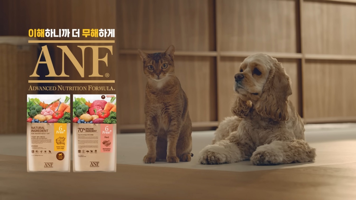 ANF ‘세상 무해한 너에게 더 무해한 것만 줄게’ 캠페인