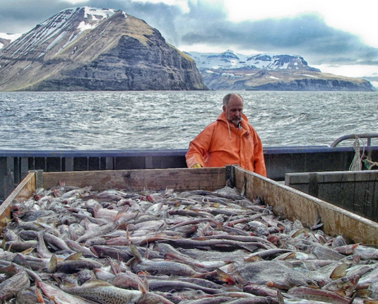 노동 공급 장려책 설계시 정책 효과 비대칭적으로 나타날 가능성 유의해야 - 한은