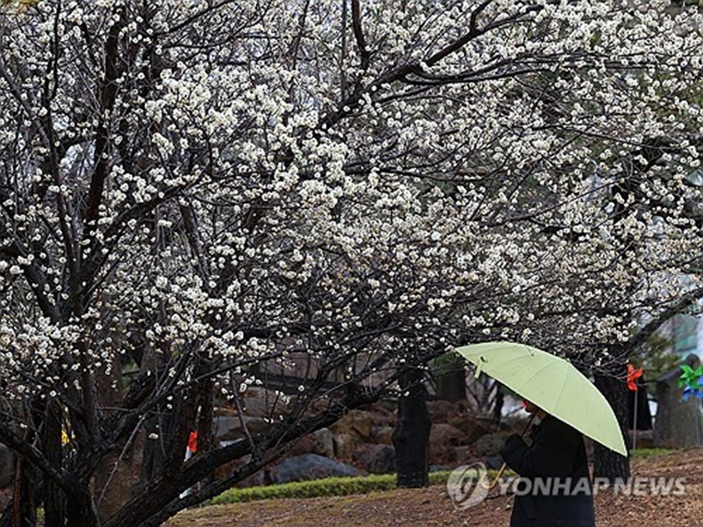 (사진=연합)