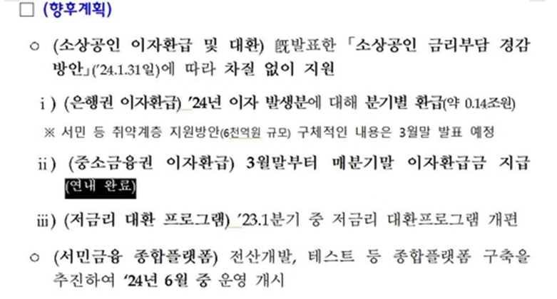 민생금융 향후 계획(금융위원회 제공)