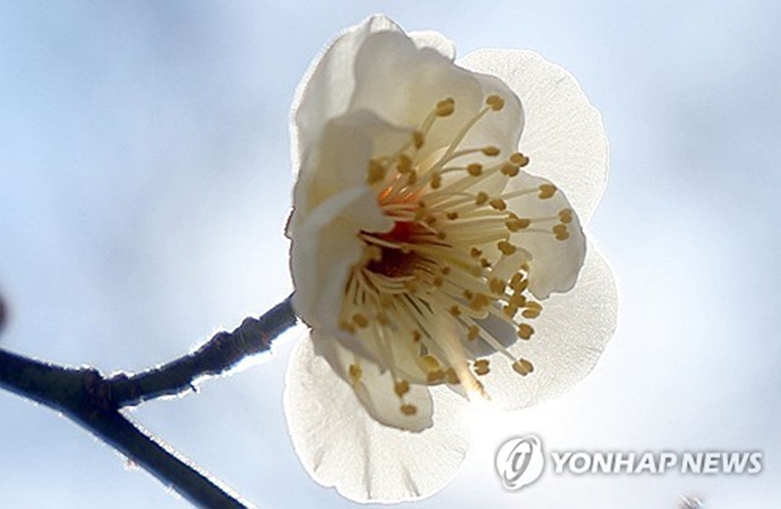 (사진=연합)
