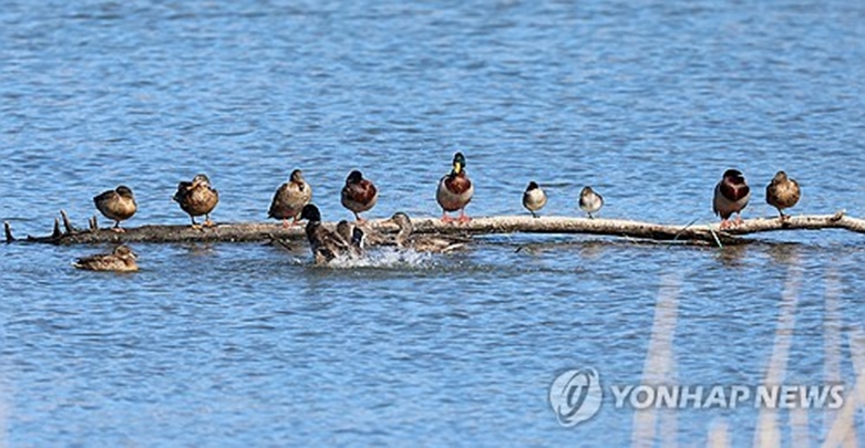(사진=연합)