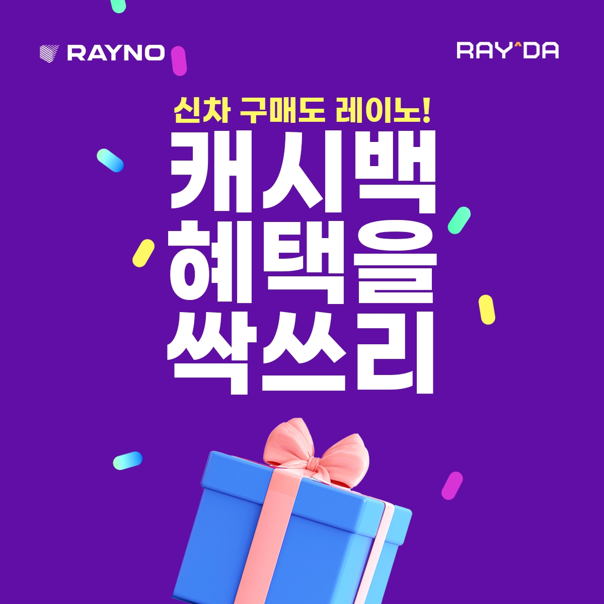 레이노 코리아, '레이노 다이렉트' 서비스 오픈