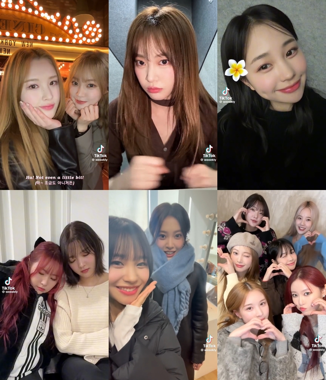 위클리, ‘엉뚱발랄’ 에너지로 쇼츠 新강자 등극