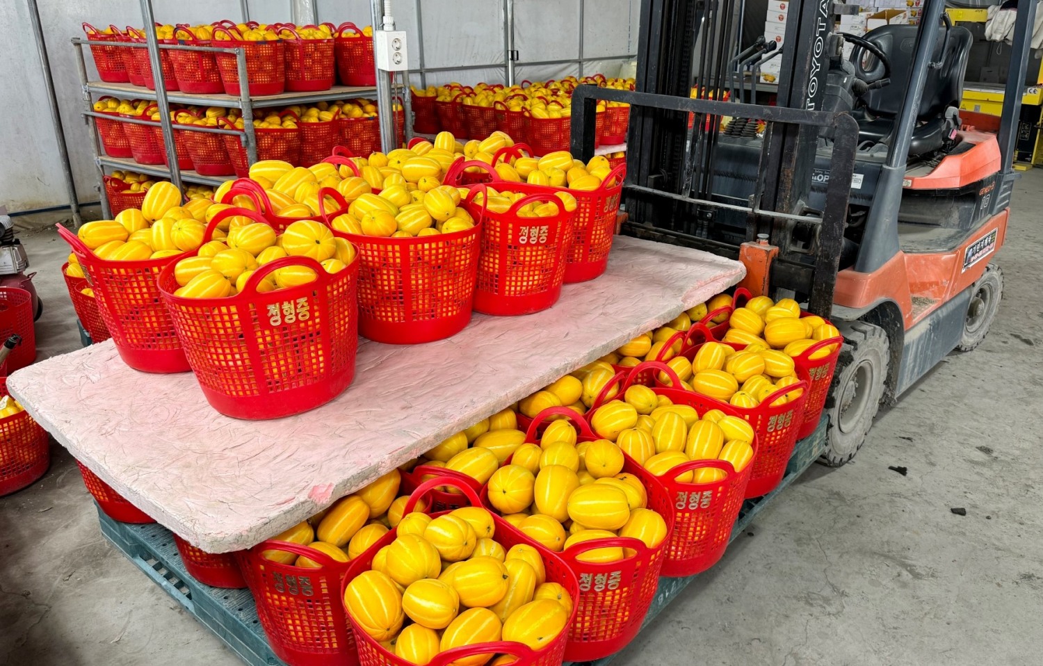 사랑의전화복지재단-삼총사 포장센터, '참외롭지않아' 프로젝트로 어르신들에게 건강과 희망 선물