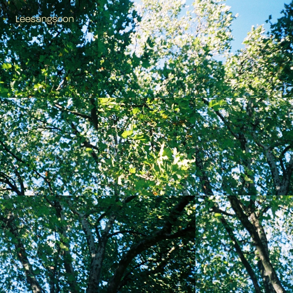 이상순, 4일 신곡 '완벽한 하루' 발매…평온한 낭만 선사