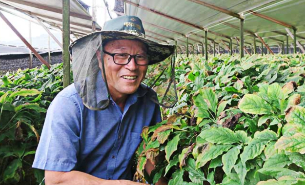 금산인삼연구회 이홍철 회장