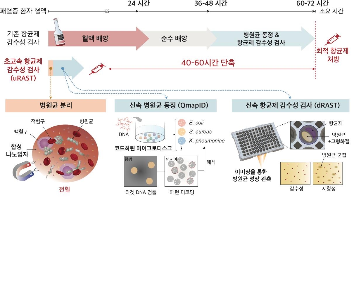 혁신 기술의 통합으로 13시간 이내에 최적 항균제 처방이 가능한 uRAST