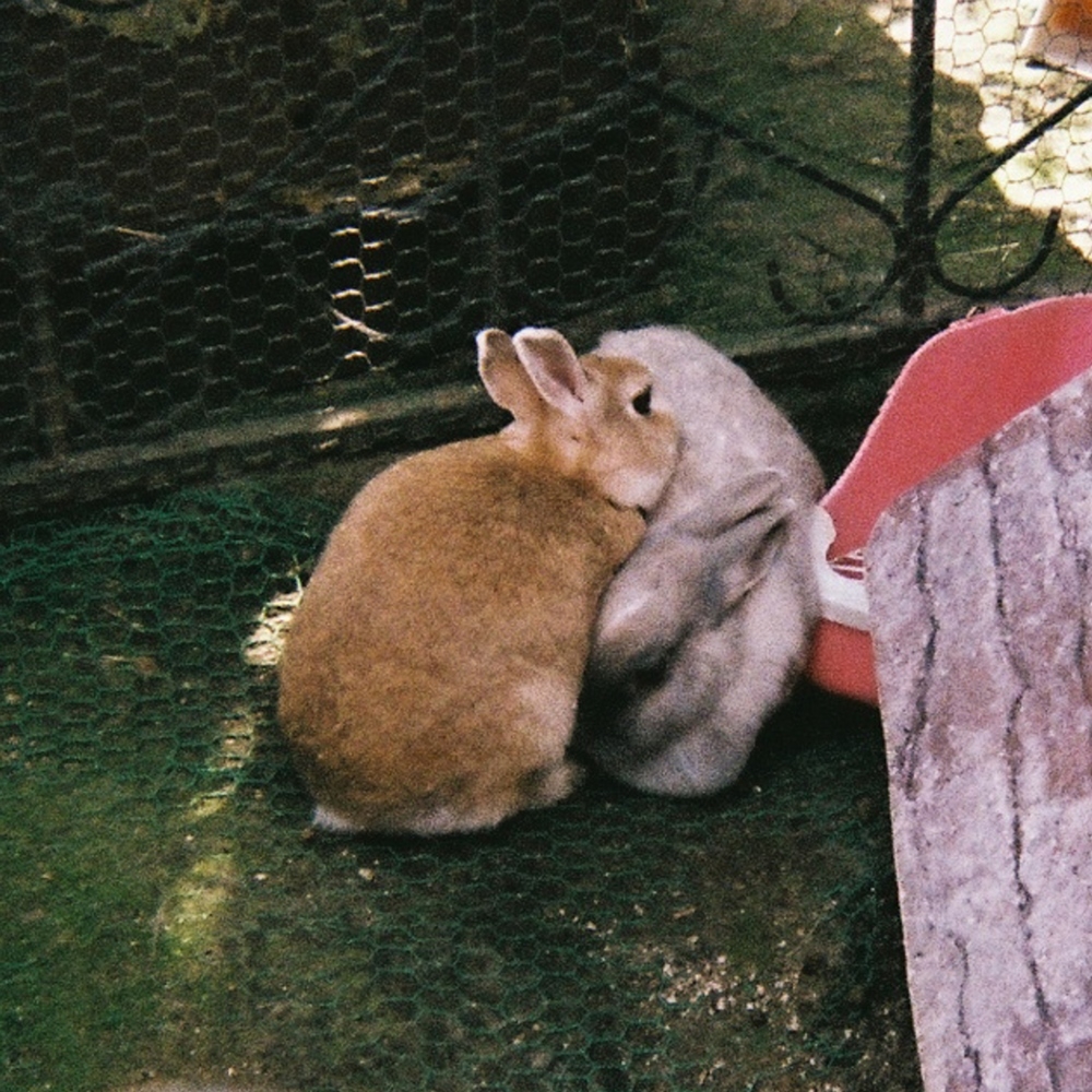 크래커, 1일 새 싱글 '맴맴' 발매…공감 100% 여름 추억 소환 예고