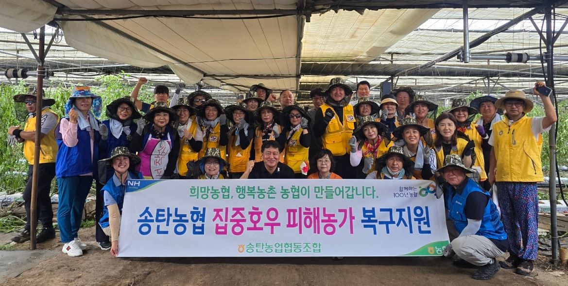 평택시자원봉사센터, 토마토 하우스 농가 수해복구 봉사활동 전개
