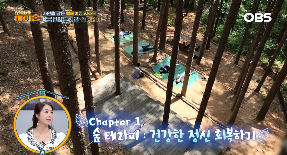 홍천 선마을, 건강한 삶을 위한 힐링 공간으로 주목