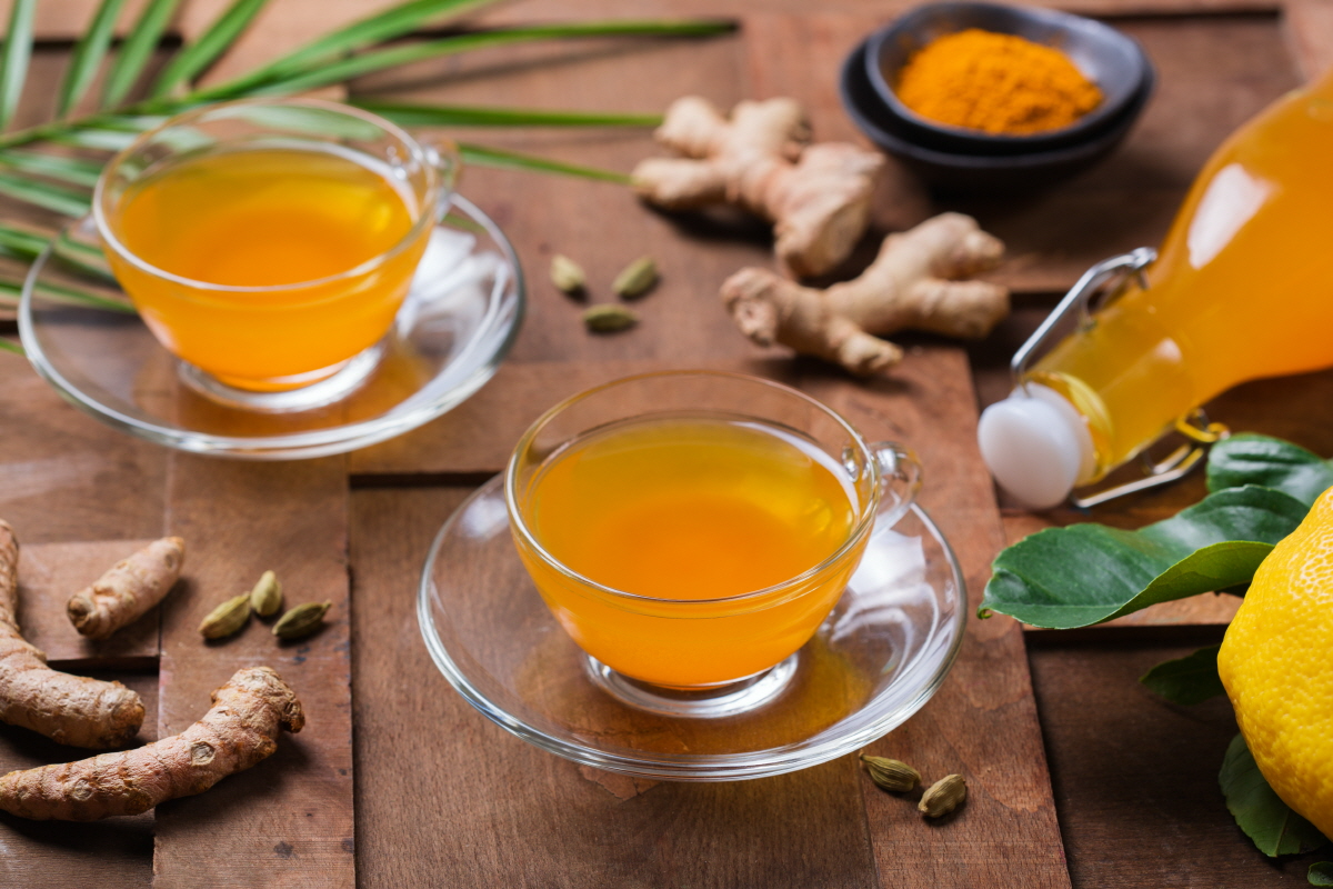 최정원 한의학박사 "차 마시는 습관이 면역력 높여"