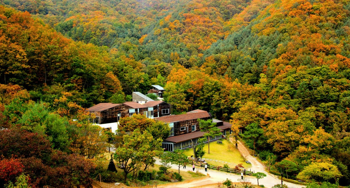 선마을, 요가·명상으로 얻는 ‘진정한 쉼’…휴식이 생기를 얻는다