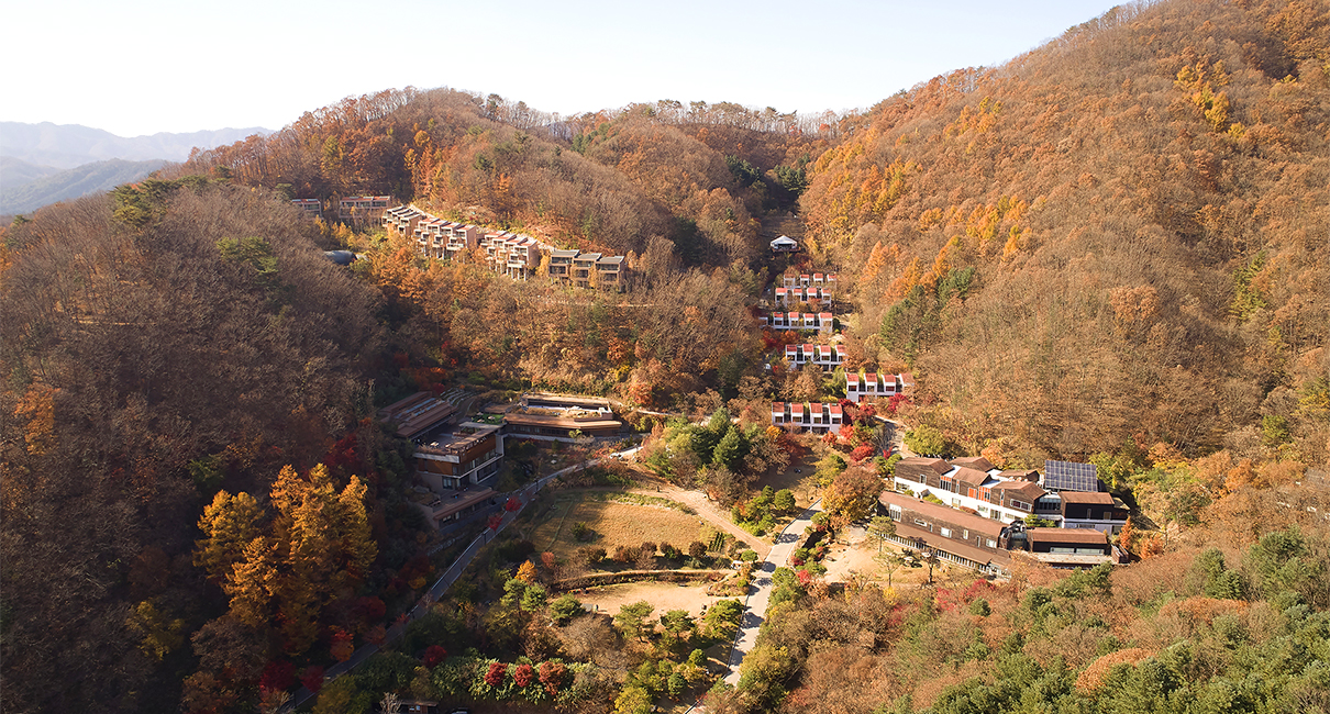 홍천 선마을, 홍양표 박사와 함께하는 ‘뇌 건강 힐링 캠프’ 개최
