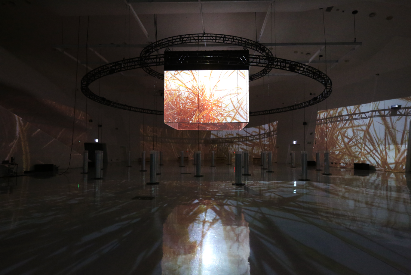 KAIST 강이연 교수 주제전 ‘LIGHT ARCHITECTURE’ 사진