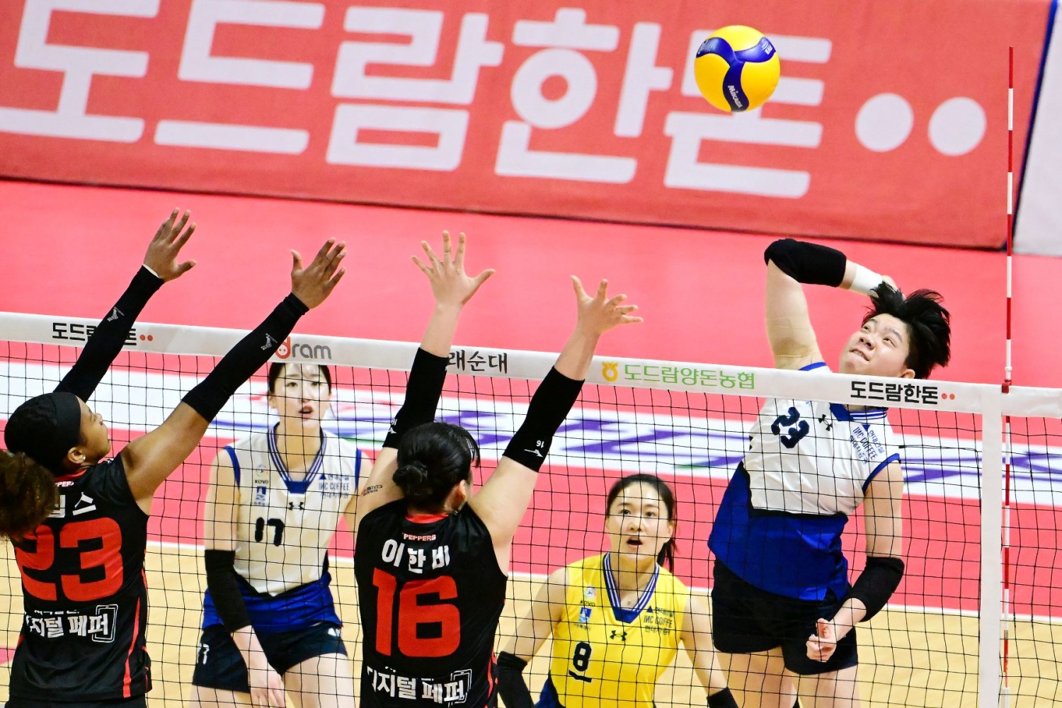 도드람 2023~2024 V-리그’ 경기 장면