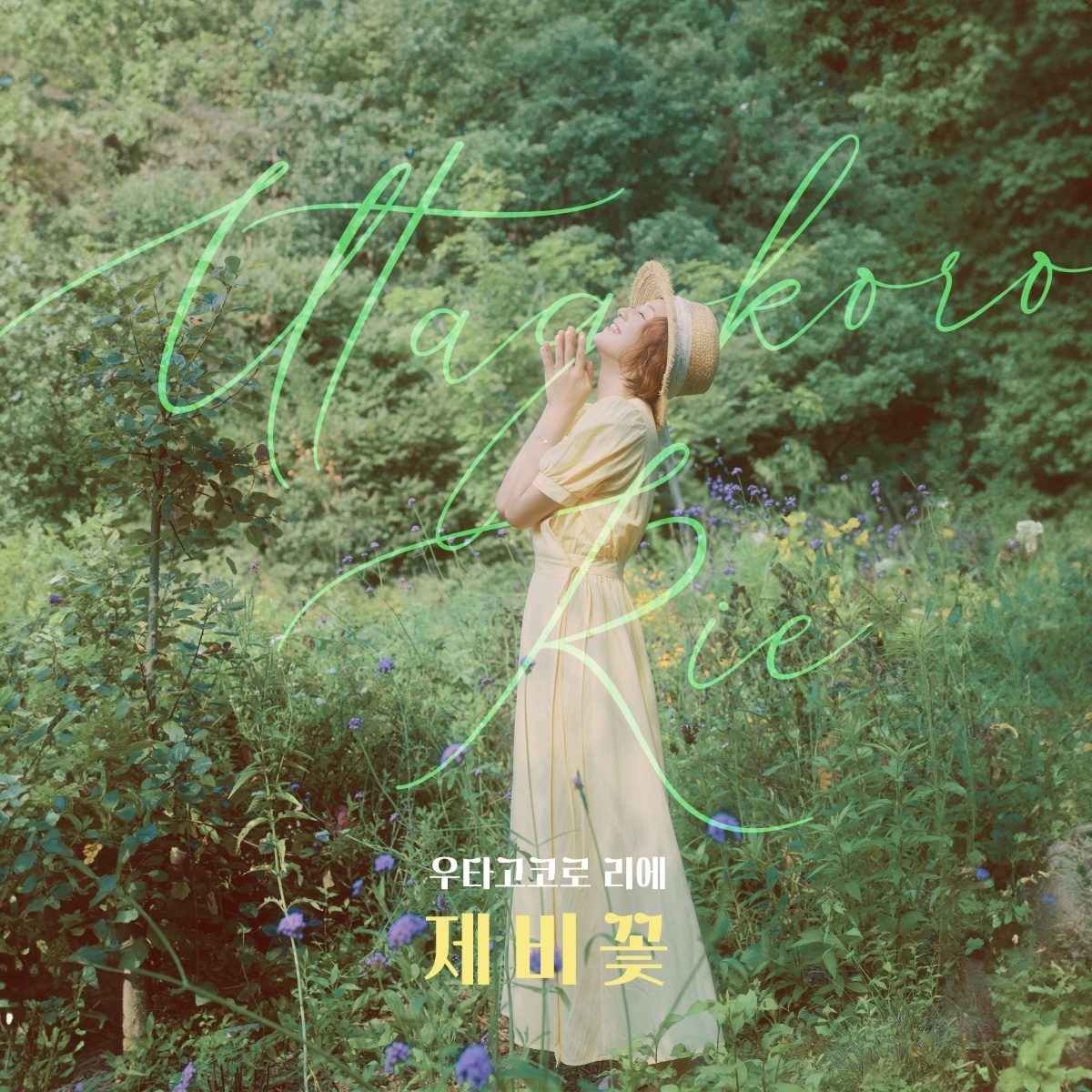 우타고코로 리에, 21일 첫 한국 싱글 '제비꽃' 발매…깊고 맑은 목소리 '기대'