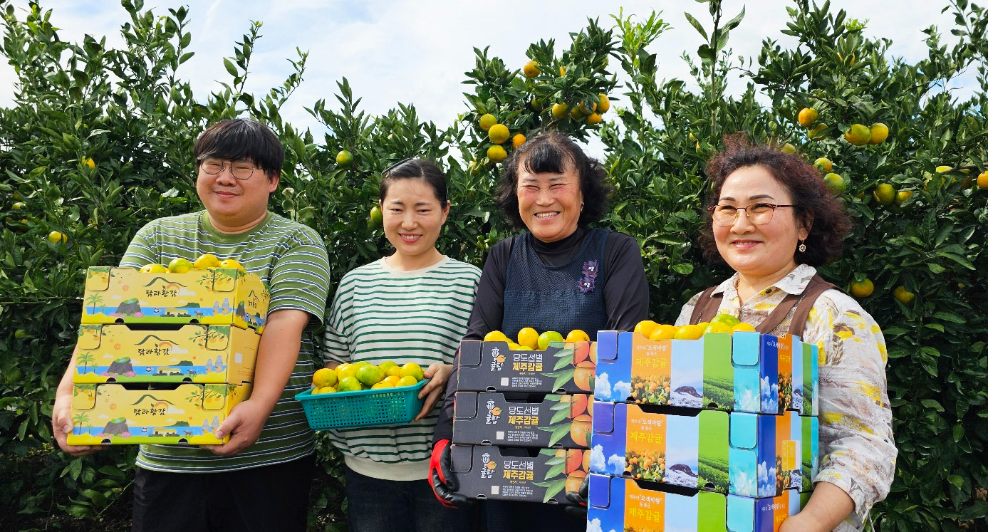 쿠팡, 폭염에 위기 놓인 감귤 농가 돕는다…역대 최대 800톤 매입