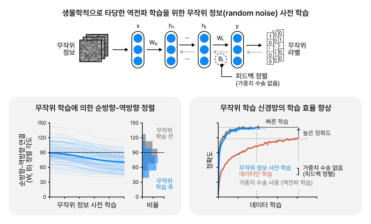 무작위 정보 훈련의 방법과 그 효과를 묘사하는 그림