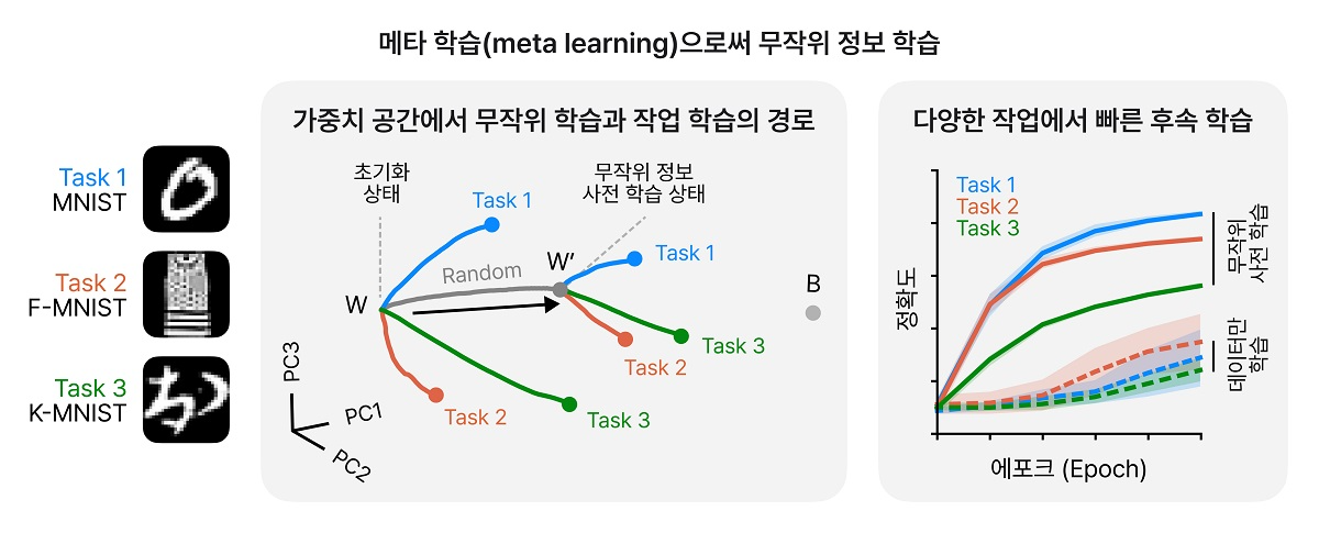 무작위 정보 훈련의 메타 학습 효과를 묘사하는 그림