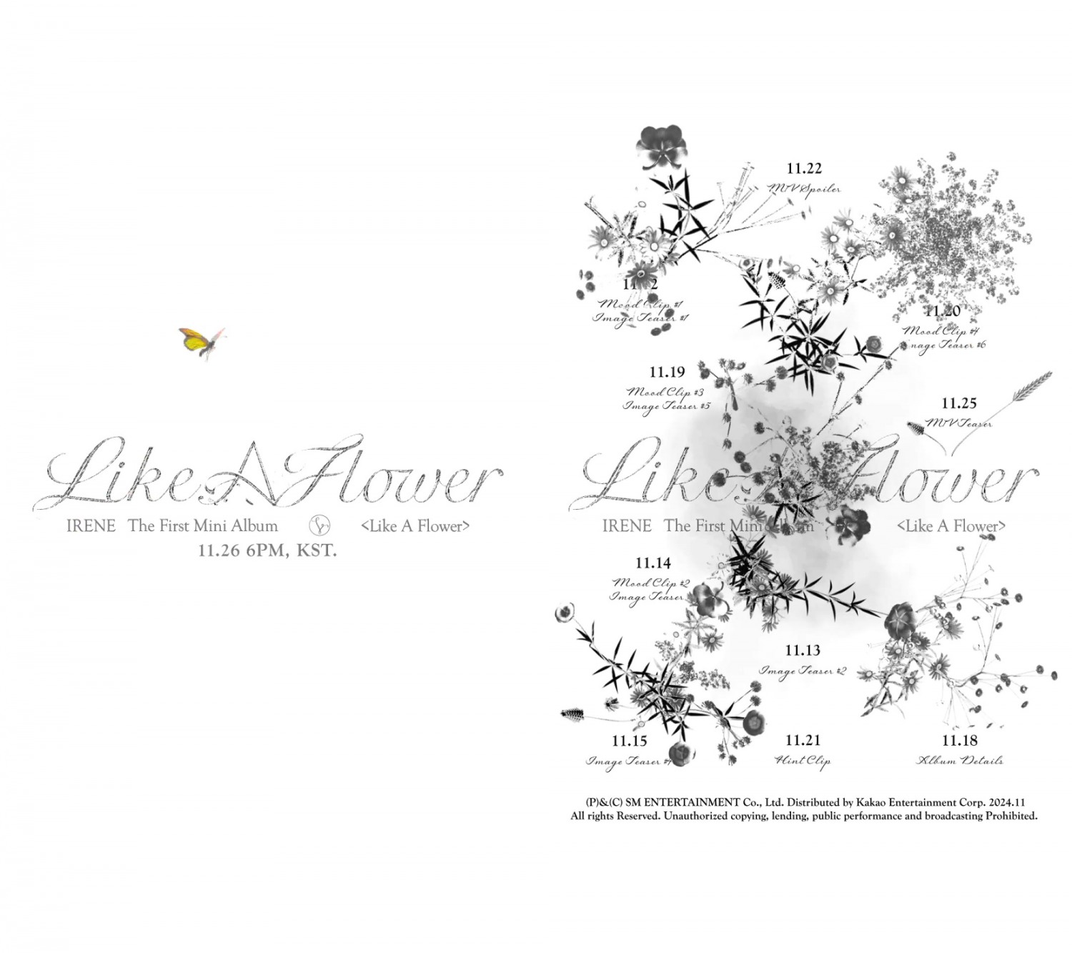 아이린이 피워낼 음악 세계에 ‘기대감 UP’…첫 번째 미니앨범 ‘Like A Flower’ 스케줄 포스터 공개