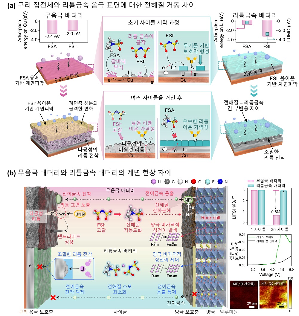 연구 내용 상세
