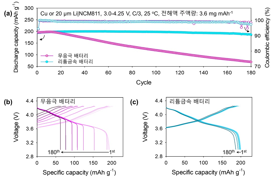 무음극 배터리와 리튬금속배터리의 방전용량과 쿨롱효율 그래프