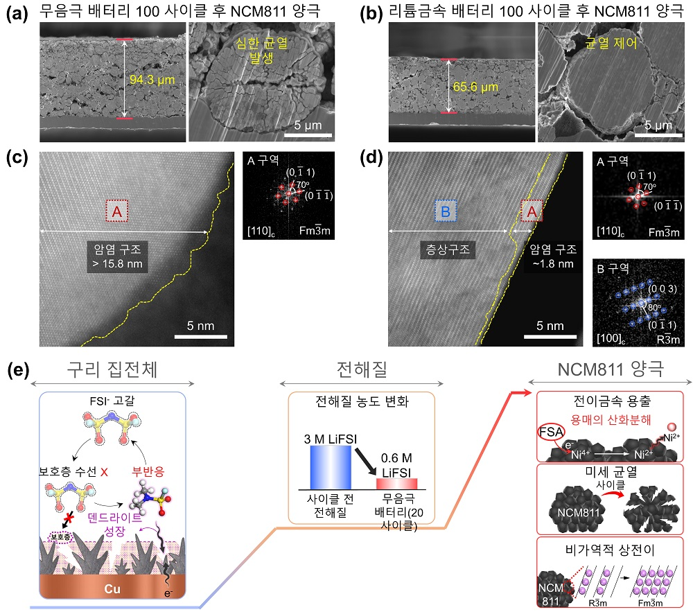 무음극 배터리와 리튬금속배터리의 100사이클 후 양극 단면 SEM 분석