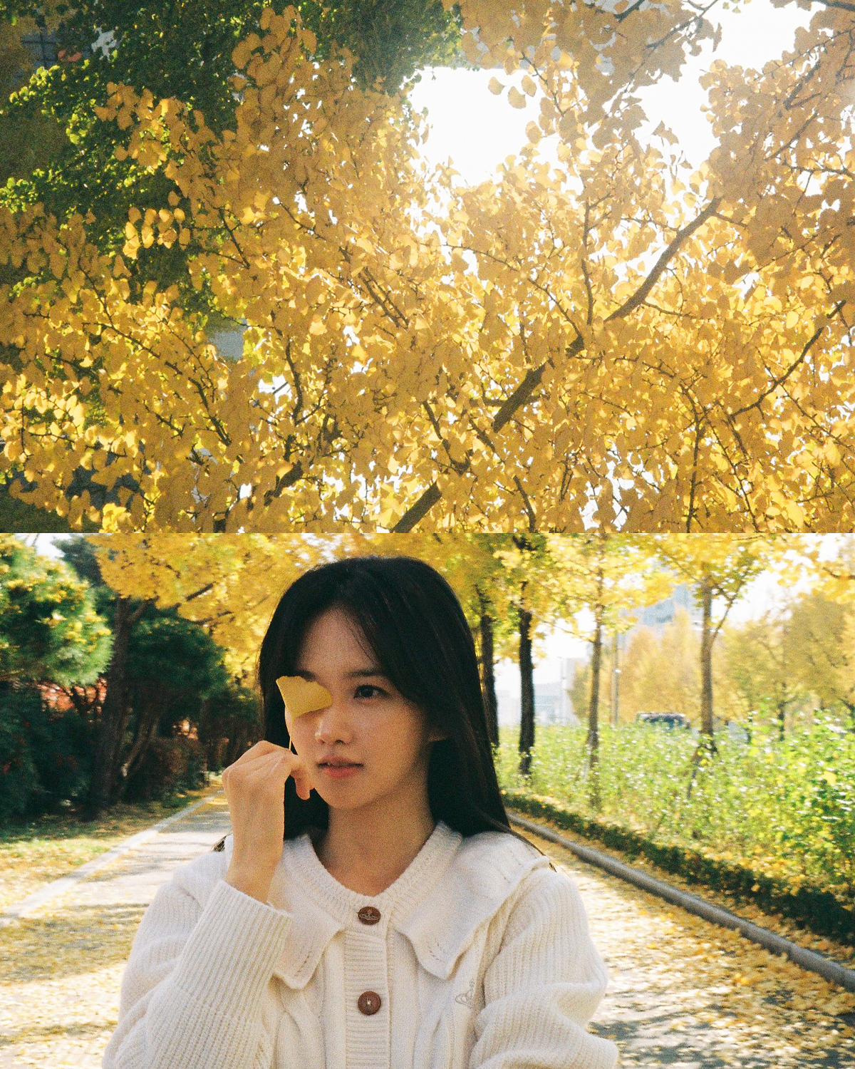 박정연, 새 콘셉트 포토 공개…가을 햇살처럼 반짝이는 미모