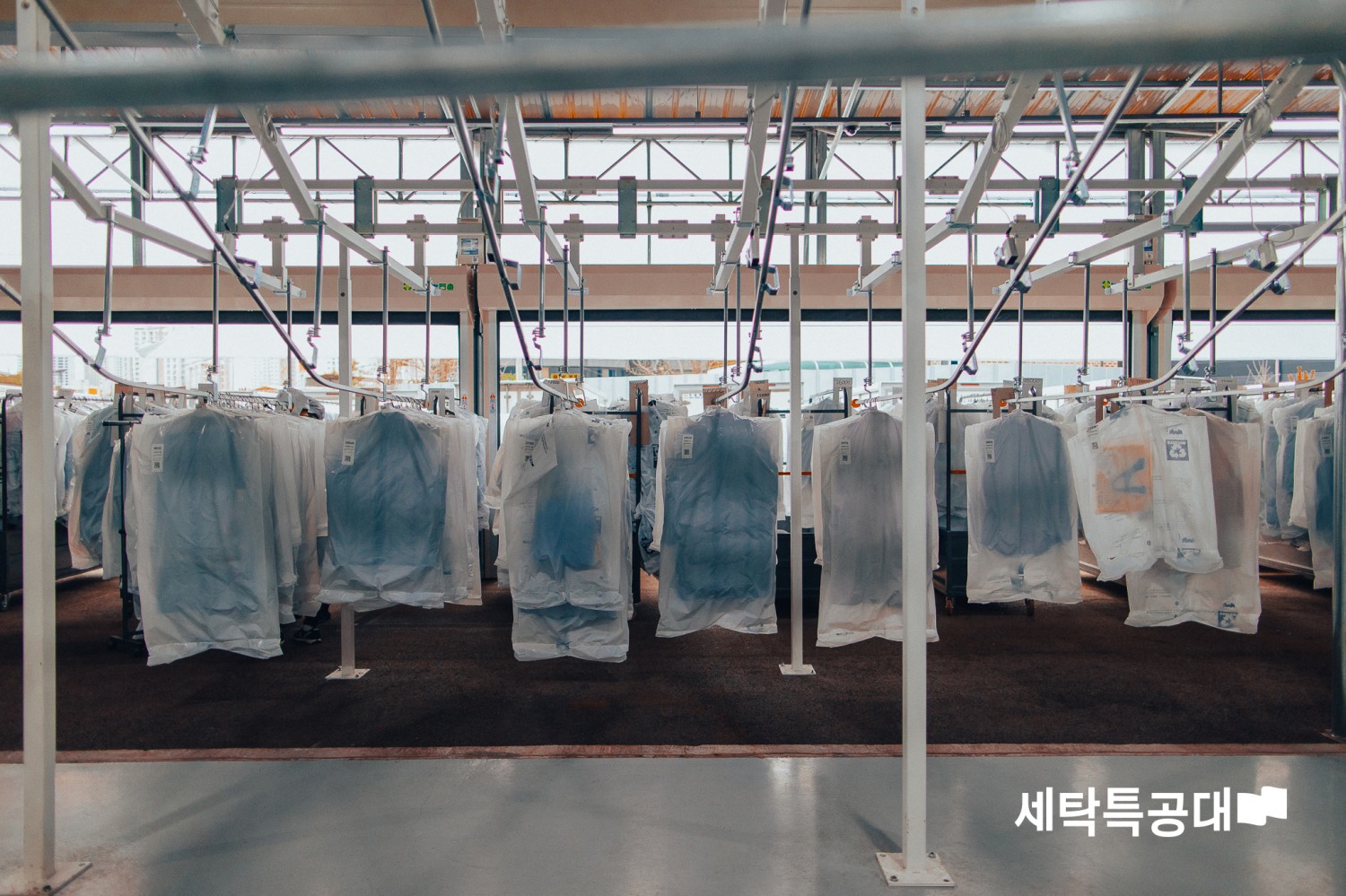 세탁특공대, 70억원 규모 시리즈C 브릿지 투자 유치