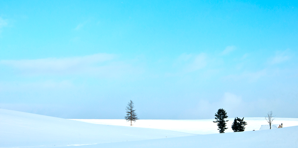 홋카이도 비에이