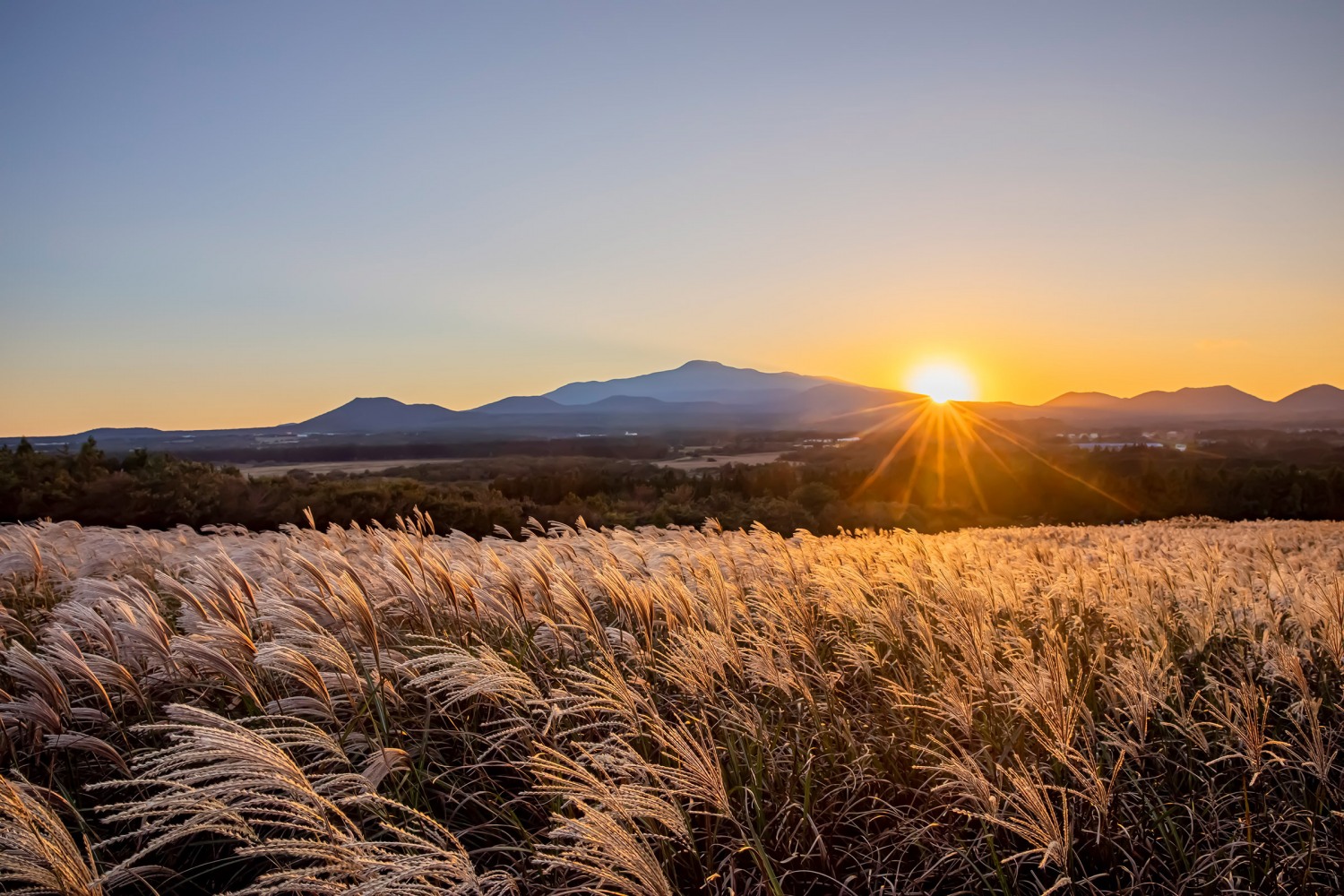 해비치 호텔앤드리조트 제주, ‘비 더 오르머! 패키지’ 출시…‘계절마다 다른 제주 고유의 정취 만끽’