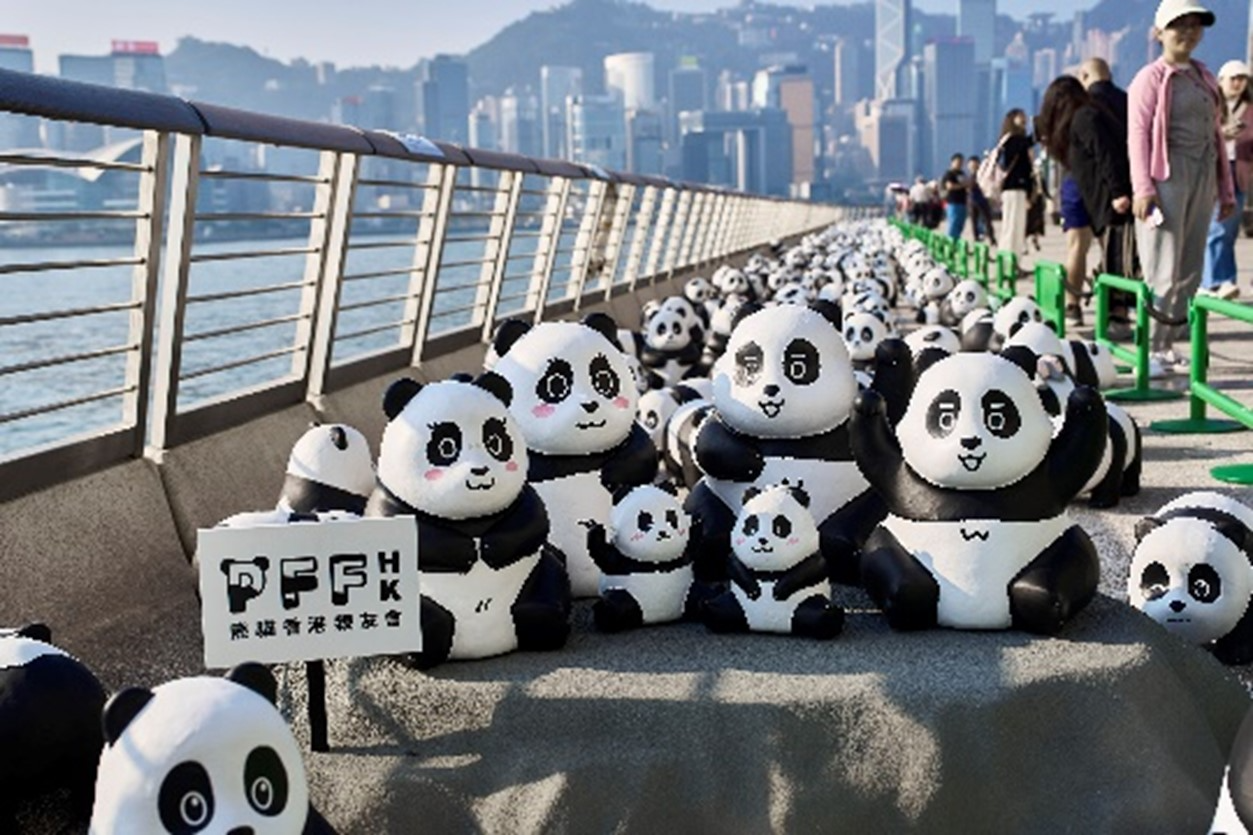 홍콩관광청, ‘윈터페스트(WinterFest)’와 새해 카운트다운 진행. 도시 전체가 포토 스팟, 화려한 야경으로 물드는 홍콩