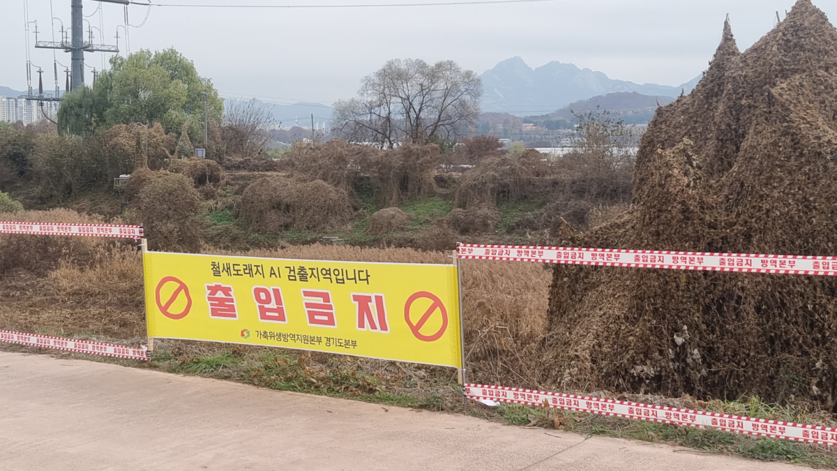 고양특례시 제공