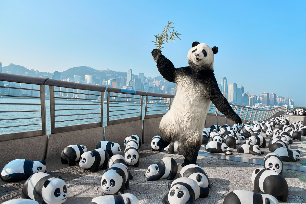 판다로 가득 채운 홍콩의 명소들 ‘판다 고! 페스트’ 화제