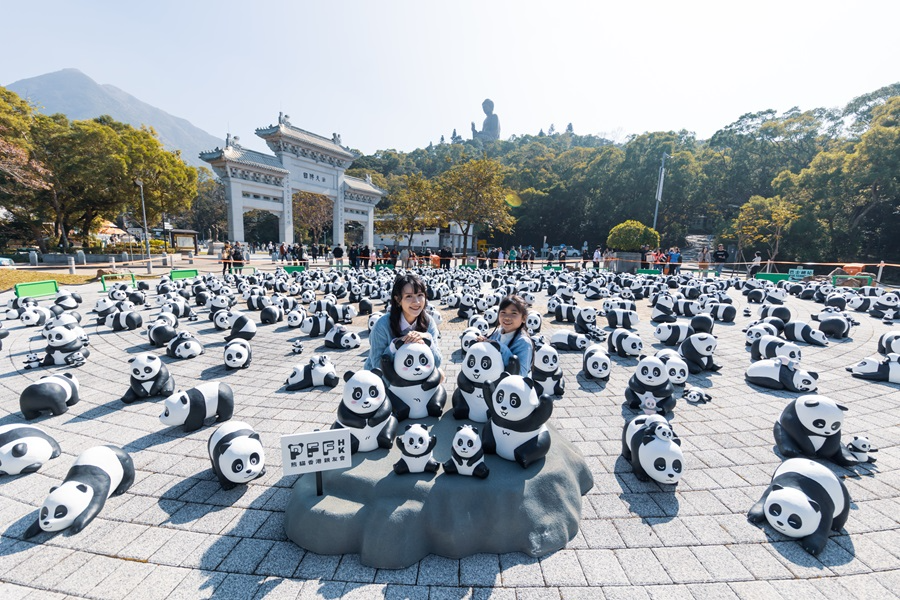 판다로 가득 채운 홍콩의 명소들 ‘판다 고! 페스트’ 화제