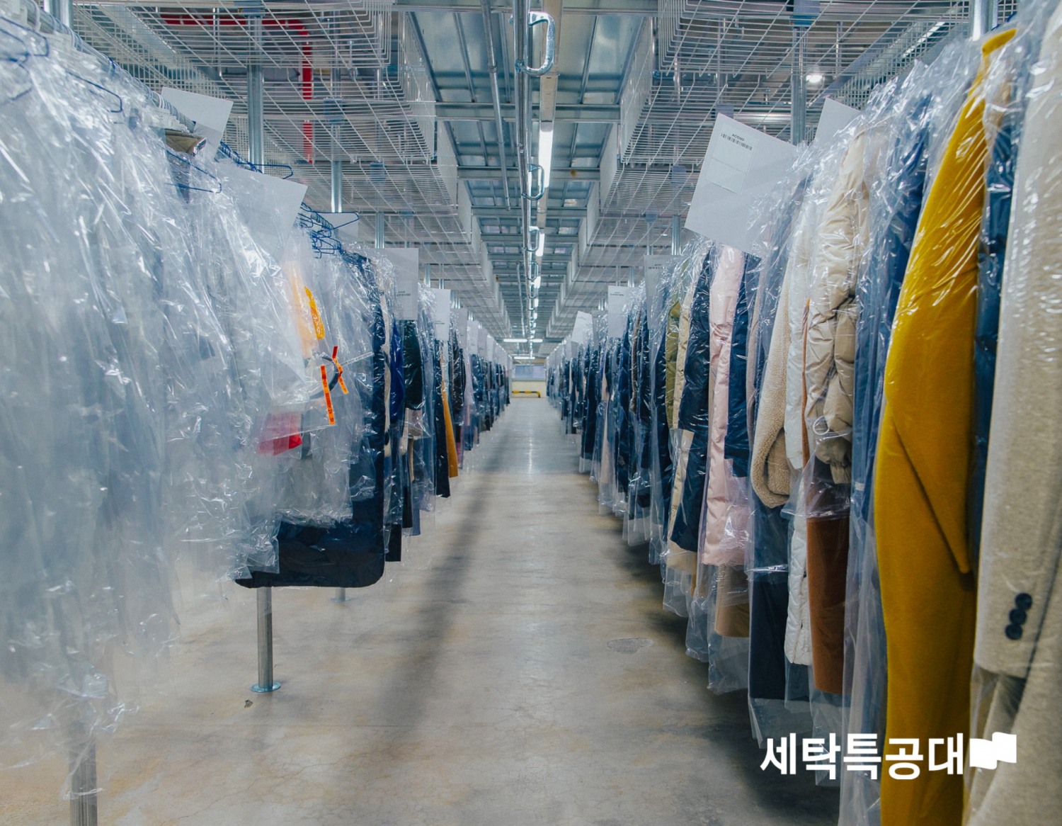 ▲세탁특공대 아우터 세탁 공정