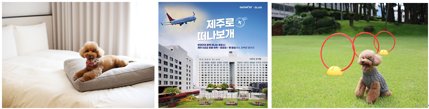 메종 글래드 제주, 이스타항공과 함께 ‘제주 펫 에어텔(항공+호텔)’ 런칭