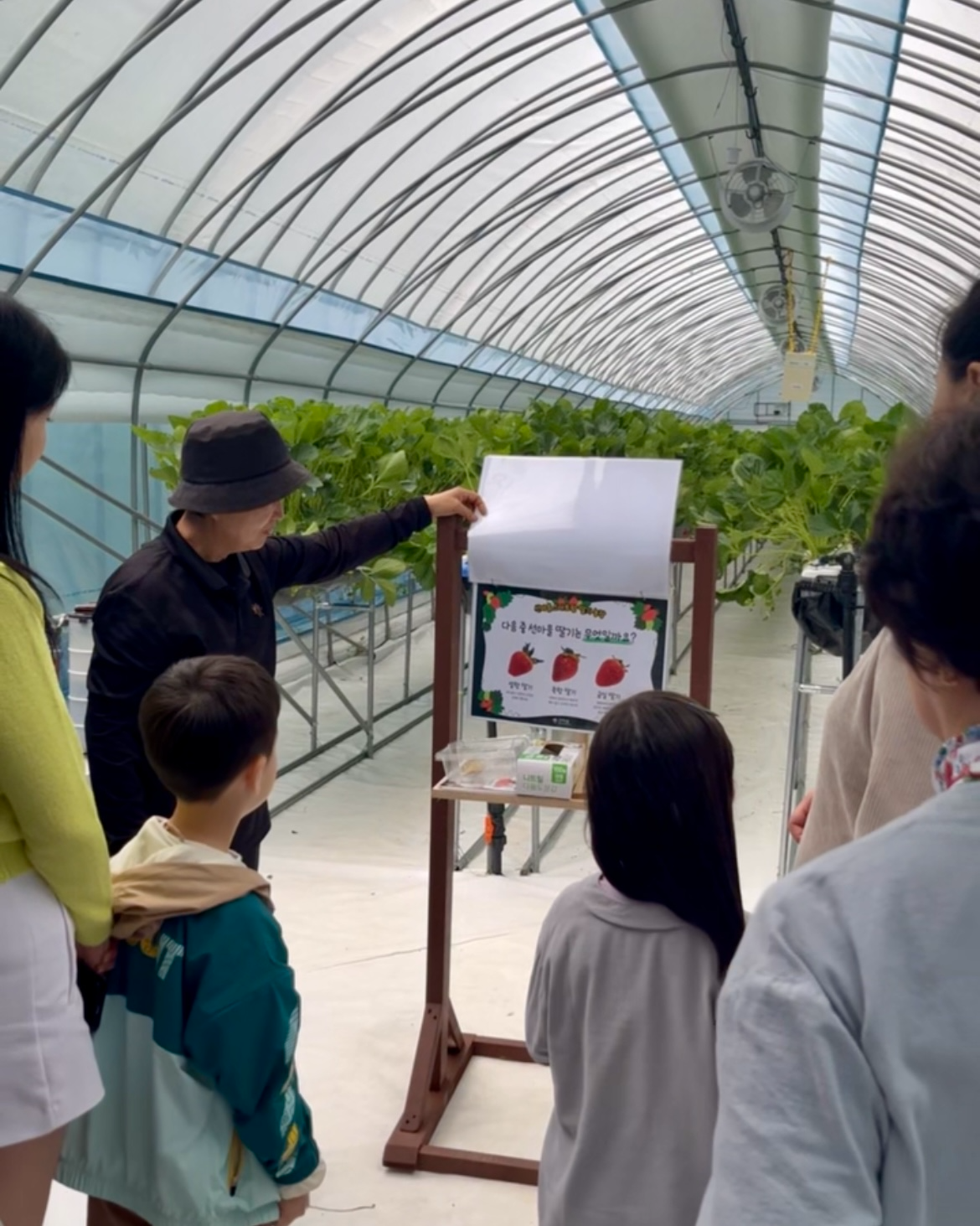 가족과 함께 자연 속에서 딸기 재배 과정과 수확을 배우고, 직접 딴 딸기로 만든 아이스크림을 맛보는 특별한 겨울 체험