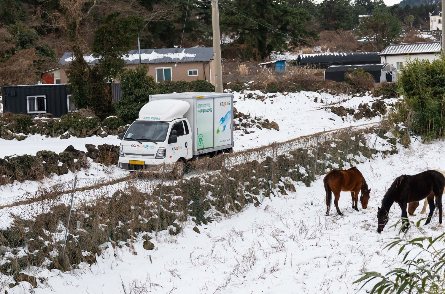쿠팡, 제주도에 신선식품 새벽배송 시작…"제주 지역 생활 여건 획기적으로 개선"