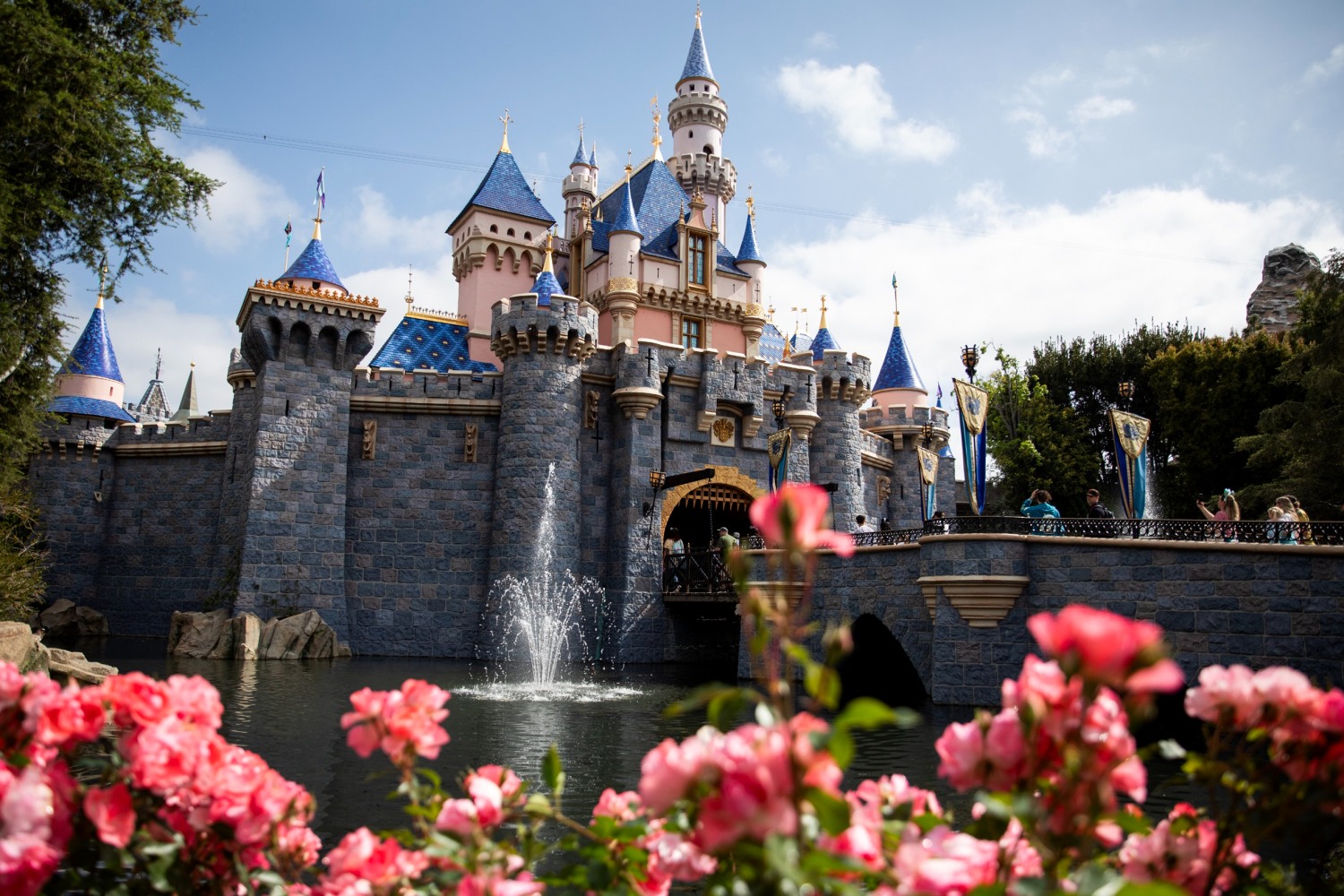 2025년 캘리포니아에서 놓치지 말아야 할 명소와 이벤트 모음집