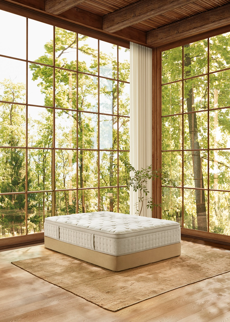 마테라소 포레스트 컬렉션