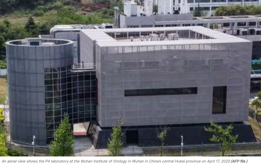 (상보) 中연구진, 인간에 전염가능 '신종 박쥐 코로나' 발견 - SCMP