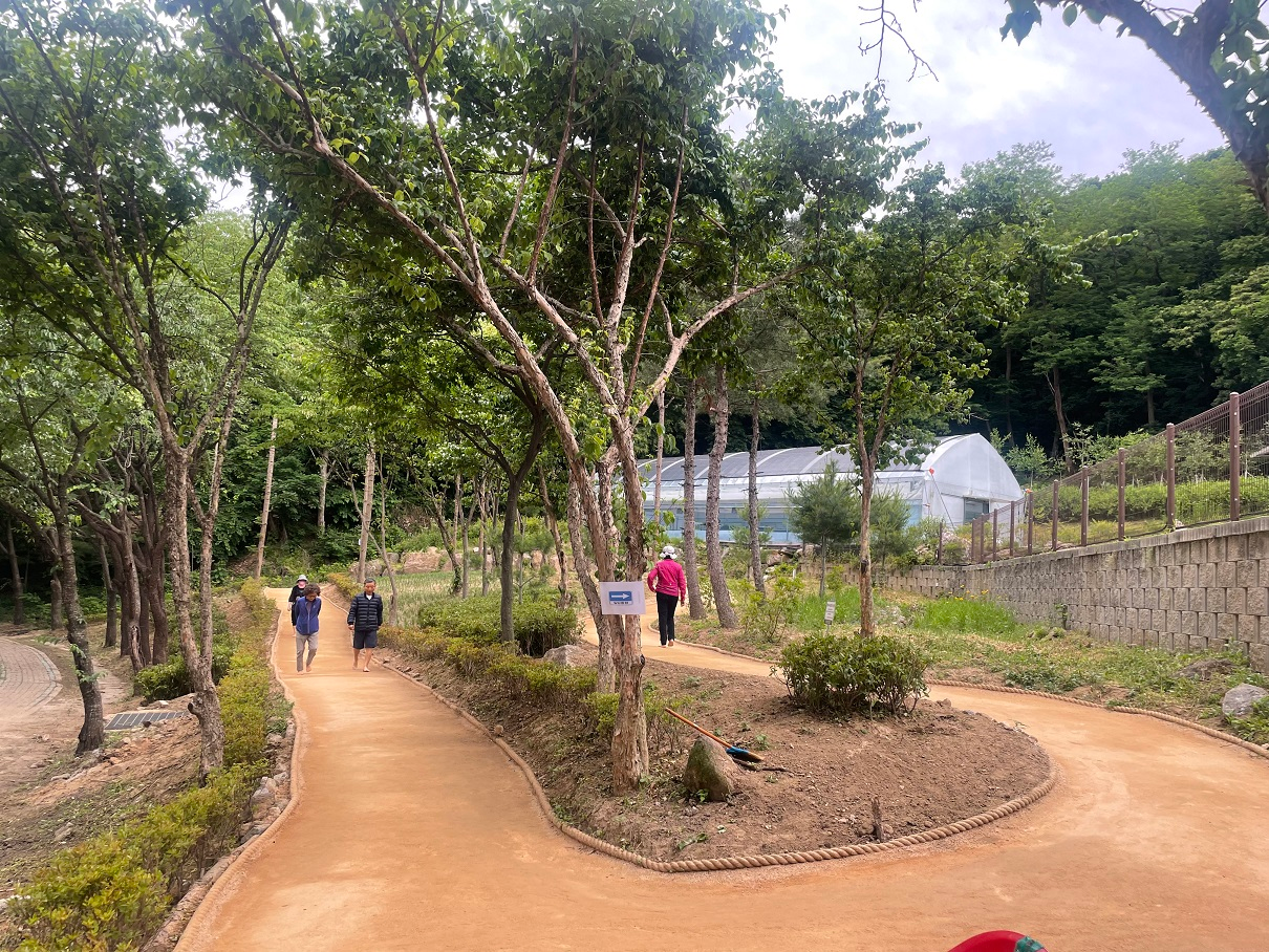 남양주시 별내면 청학리 맨발